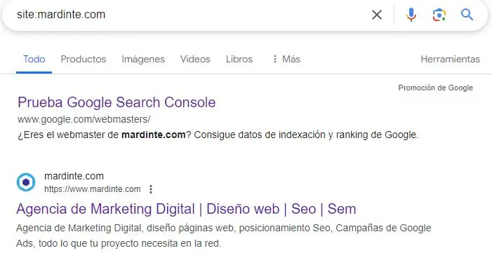 Mi web no aparece en Google ¿Cómo hacer que aparezca mi pagina web en google?